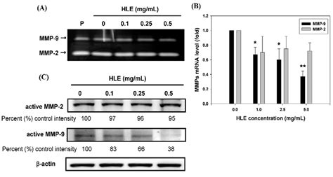 Hibiscus sabdariffa Leaf Extract Inhibits Human Prostate Cancer Cell ...