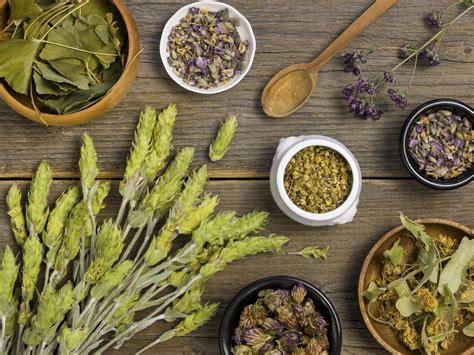 Spring Detox: The Best Herbs For Juicing And Immune Support