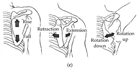 Configuration Design of an Upper Limb Rehabilitation Robot with a ...