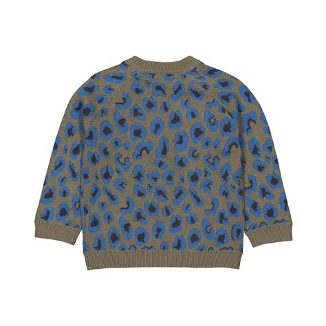 Buy Boys Full Sleeves Sweater Leopard Print - Khaki Online at Best ...