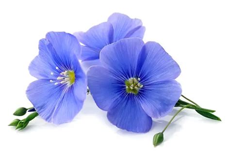 Mc-Vay Perkins Funeral Home | Caldwell, OH