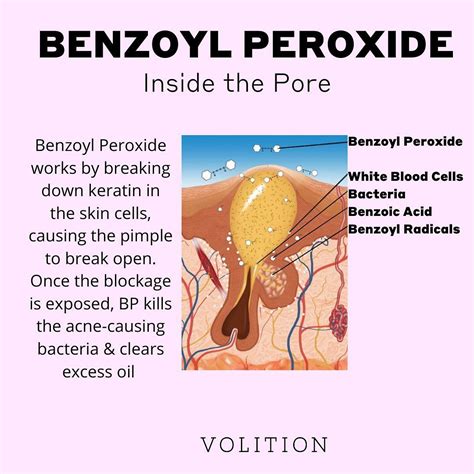 Pin by Masa S. on Skin | Sunscreen for sensitive skin, Skincare for oily skin, Skin facts