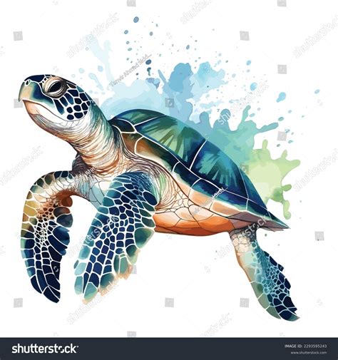 Sea Turtle Sketch
