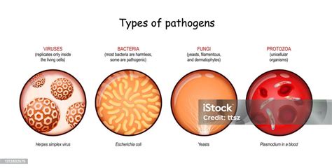 Pathogens 的图像结果
