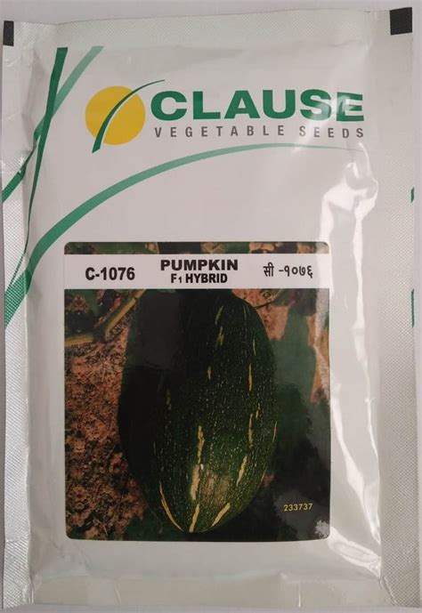 Clause Pumpkin C 1076