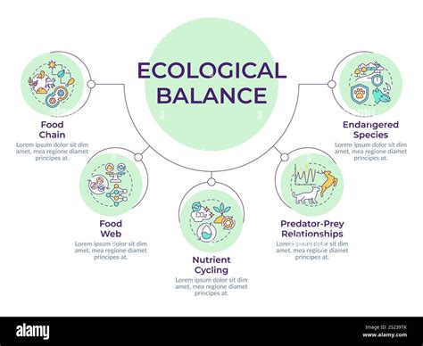 Ecological balance circular diagram infographic Stock Vector Image ...