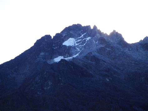 Glaciers in the spotlight: Glacier Life - Adaptation At Altitude