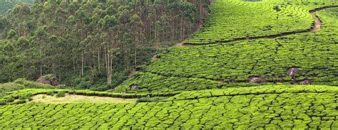 South India Trip 2026 | Culture & Scenic Beauty