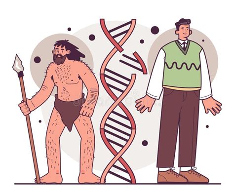 Image result for Primate Human Evolution Chart