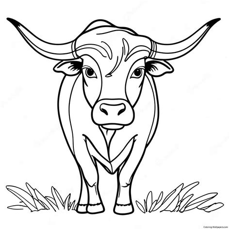 Fierce Texas Longhorn Bull Coloring Page (42954-33971)