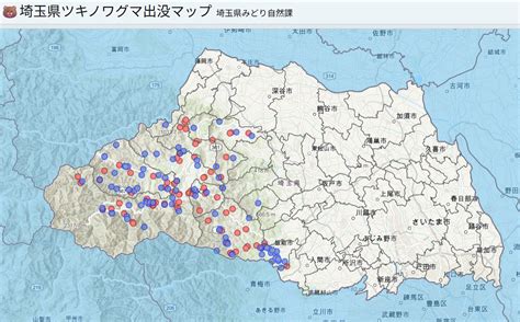 Image result for Bbolean Python If Statement