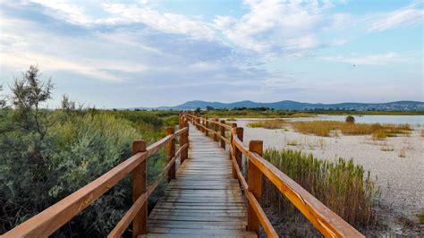 Discover The Top 10 Birdwatching Destinations In The US – Must-Visit Spots for Bird Lovers ...