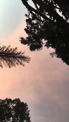 Nature Wallpaper Esthetic by Nature Aesthetic Background Nature Wallpaper Nature Wallpaper Esthetic