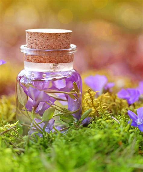 Image result for Spring for Children