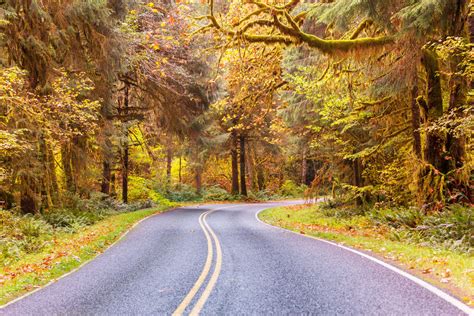 乔治 华盛顿 和 杰斐逊 国家 公园 的图像结果