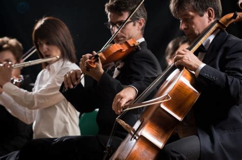 Image result for Instrumental Types