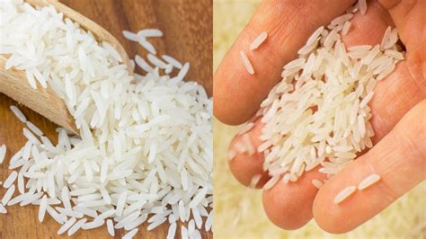 Bharat rice: 1 கிலோ வெறும் 29 ரூபாய்.. எங்கு கிடைக்கும்? ஆன்லைனில் ...