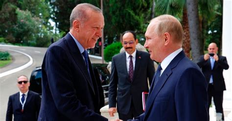 Turkey's Erdogan to Meet Putin, Hopes to Renew Black Sea Grain Deal