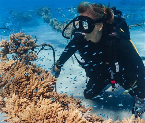 Why Sharks Matter for Ocean Sustainability | Gili Shark Conservation