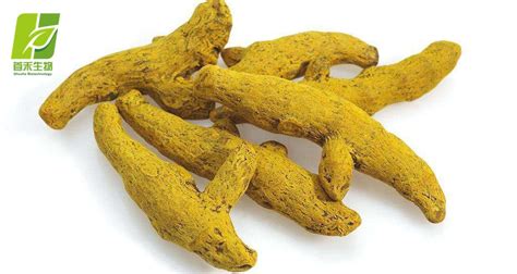 姜黄素95% 标准植物提取物食品级着色剂天然色素天南星科二酮类-阿里巴巴