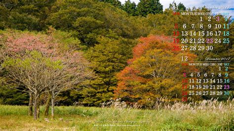 2017年11月の自然ワイド壁紙カレンダー：真弓の実と紅葉｜無料ワイド高画質壁紙館