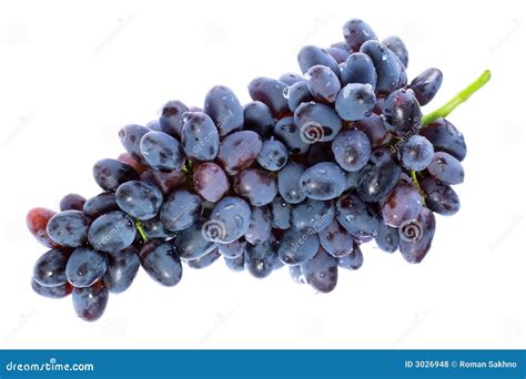 Bunch of grapes. stock photo. Image of country, gourmet - 3026948