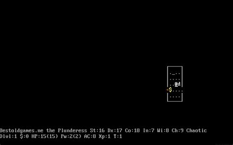 Image result for Playing NetHack