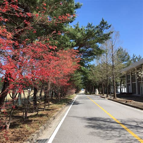 GANGWON STATE UNIVERSITY (2026) All You Need to Know BEFORE You Go ...