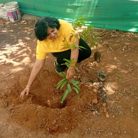 Agroforests in Action: Howden Insurance Employees Make an Impact – Grow ...