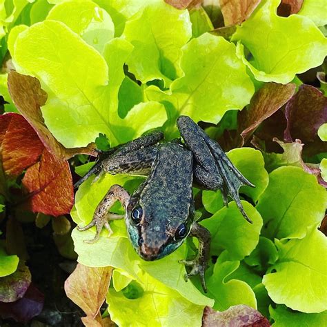 SYMBIOTIC HORIZONS FARM (2025) All You Need to Know BEFORE You Go (with ...