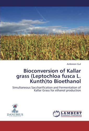 Bioconversion Of Kallar Grass Leptochloa Fusca L Kunth To Bioethanol ...