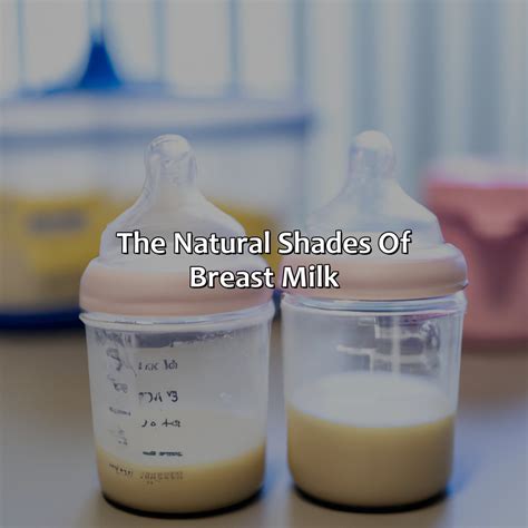 What Color Should Breast Milk Be - colorscombo.com