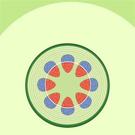 JAIN | School of Allied Healthcare & Sciences