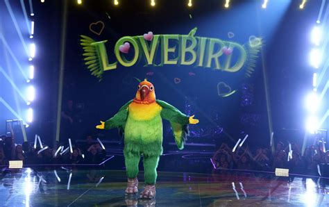 Wednesday TV Ratings: The Masked Singer, Survivor, Family Law, The ...