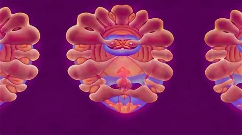 Image result for Hallucinations Simulator