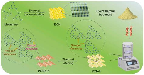 Synthesis, Characterization, and Roles of Vacancy Defects in Polymer ...