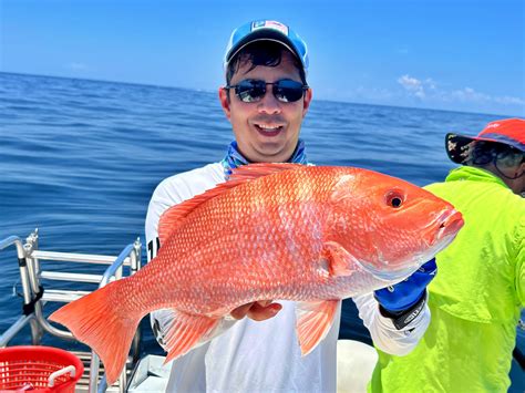 Image result for How to Catch Red Snapper