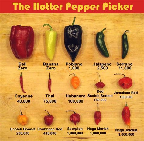 The Hotter Pepper Picker | Stuffed peppers, Stuffed hot peppers, Hot ...