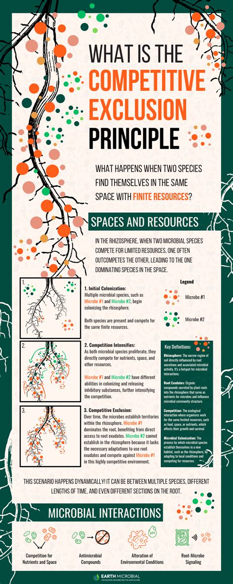 Image result for Competitive Exclusion Example Abingdon Tortoise
