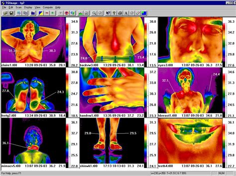 Infrared Camera Software 的图像结果