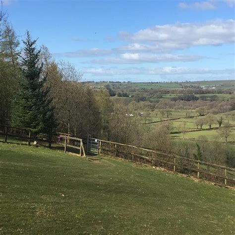 Y’GELLI CAMPING (Llanybydder) - Campground Reviews & Photos - Tripadvisor