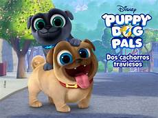 puppy pals wallpaper puppy pals wallpapers top free puppy pals puppy pals wallpaper puppy pals wallpapers top free puppy pals