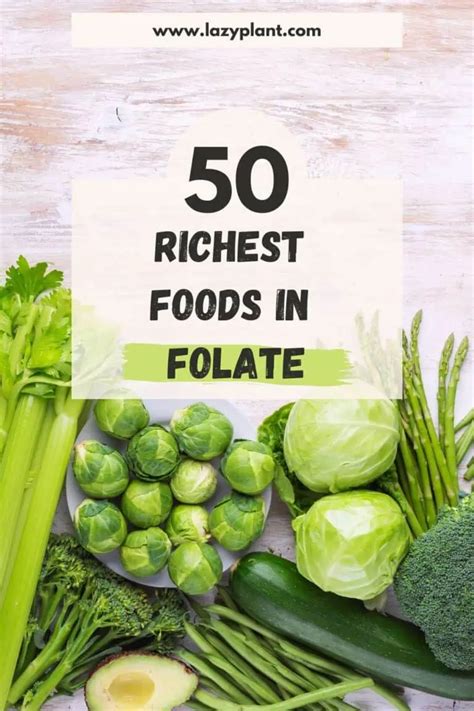 Image result for Folate Containing Foods