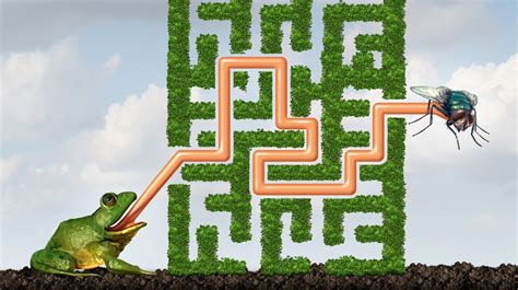 Adaptive Tutorial 的图像结果