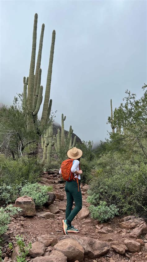 9 Must-Do Hikes In The Superstition Mountains | A Local’s Guide