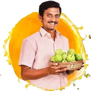 Buy Mixed Fruit Juice with Fibre Online | B Natural