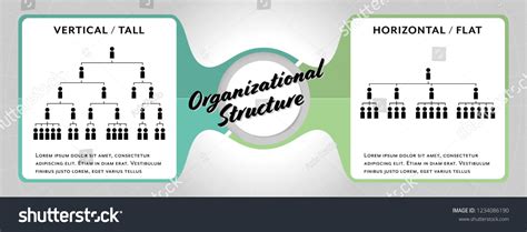Horizontal Organization Structure 的图像结果