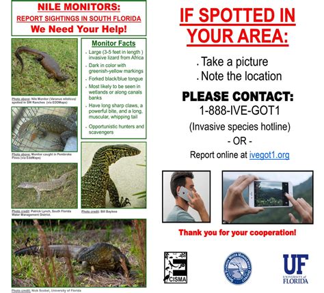 Monitor Lizard Bite at William Woodard blog