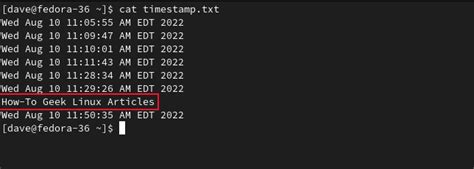Image result for Server Script Vs. Local Script