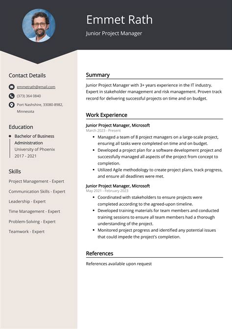Junior Project Manager Resume: Sample & Guide (Entry Level & Senior Jobs)
